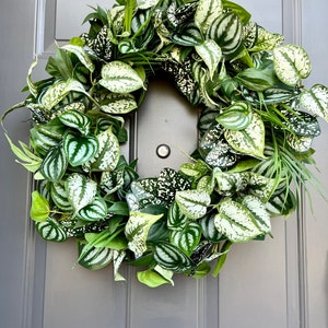 Tropical Summer Greenery Front Door Wreath. Houseplant Wreath. Minimalist Greenery Wreath. Summer Decor. Summer Grapevine Wreath. Tropical.