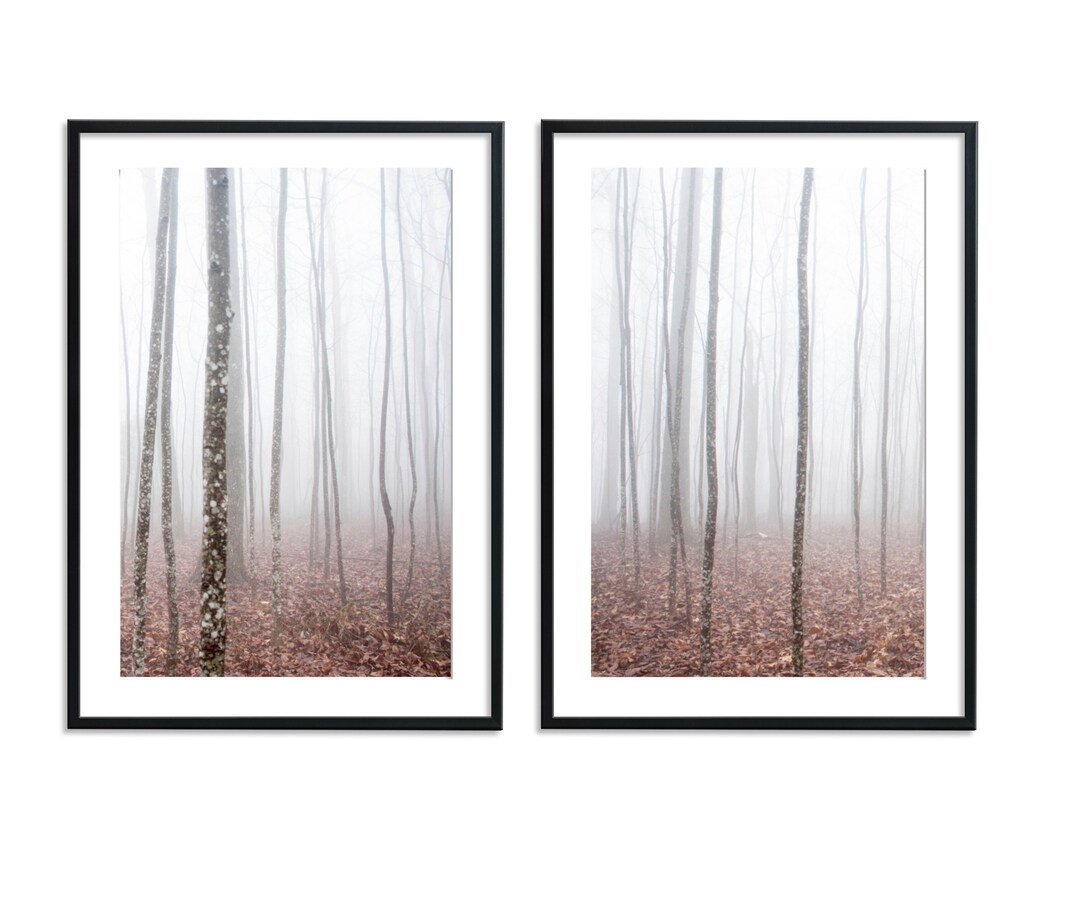 Forest 2 Piece Wall Art Misty Forest Set of 2 Fog Forest Etsy