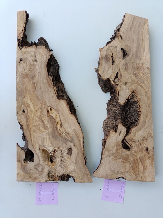 Live Edge Wood Slab Olive Tree Unique Solid raw Burl Walnut Etsy