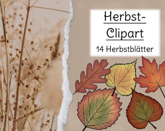 Cliparts: Herbstblätter