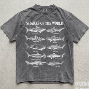 以下が含まれることがあります： チャコールグレーの半袖Tシャツ。白い文字で「SHARKS OF THE WORLD」とプリントされ、ホホジロザメを含む8種類のサメの白黒の精密なイラストとそれぞれの名前が記載されています。