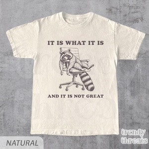 Es lo que es y no es gran vintage - Camisa meme, camiseta, divertido, mapache, meme, camiseta de dibujos animados, camiseta retro, regalo divertido