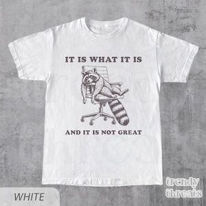It Is What It Is And It Is Not Great Vintage - Meme Shirt, T Shirt, Funny, Raccoon, Meme, Cartoon Tee Shirt, Retro Tee, Fun Gift image 2