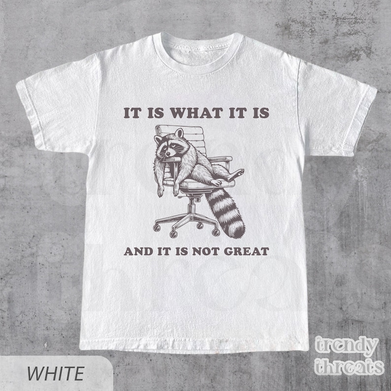 It Is What It Is And It Is Not Great Vintage - Meme Shirt, T Shirt, Funny, Raccoon, Meme, Cartoon Tee Shirt, Retro Tee, Fun Gift image 2
