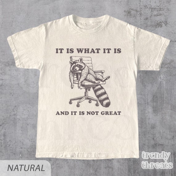 It Is What It Is And It Is Not Great Vintage - Meme Shirt, T Shirt, Funny, Raccoon, Meme, Cartoon Tee Shirt, Retro Tee, Fun Gift