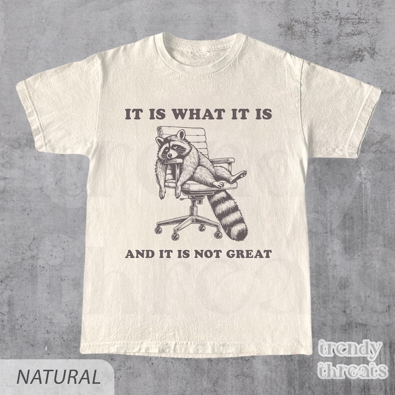 It Is What It Is And It Is Not Great Vintage - Meme Shirt, T Shirt, Funny, Raccoon, Meme, Cartoon Tee Shirt, Retro Tee, Fun Gift