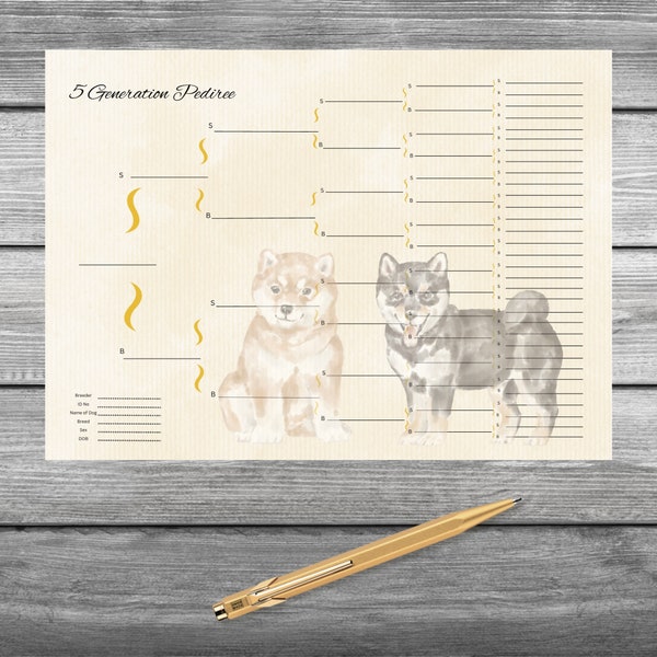 Shiba Inu Pedigree, 5 Generations, Dog pedigree, Digital file.