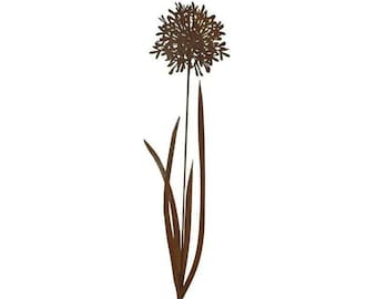 Agapanthus Ø30cm H130cm Gartenstecker Edelrost Gartendeko Rost Pusteblume Allium Blume Metall Beetstecker Blumenstecker