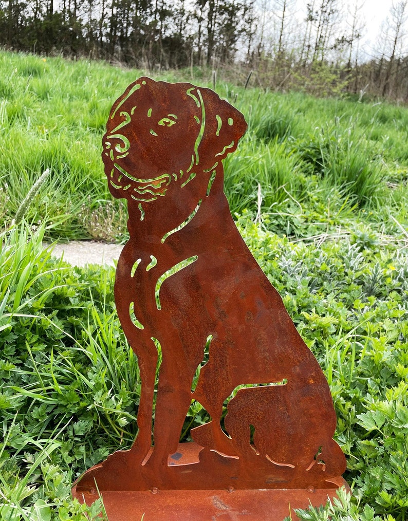 Figurine de jardin chien assis 50 x 35 cm sur plaque patinée résistant aux intempéries rouille métal rouille figure Labrador Boxer image 4