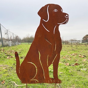 Figura da giardino di un cane Labrador, 68 x 45 cm, da picchettare, picchetto da giardino, figura di cane in metallo resistente alle intemperie e alla ruggine, decorazione da giardino arrugginita, decorazione in metallo