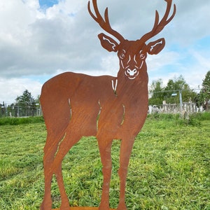 Cerf regardant vers l'avant 95 x 54 cm sur plaque patinée décoration de jardin rouille métal rouille figure rouille cerf cerf faon image 2