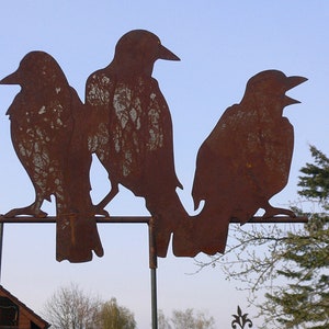 3 Raben auf der Stange 50x38cm Gartenstecker Edelrost Gartendeko Rost Außendeko Outdoor Halloween Vogelschreck Krähe Rabe Geschenk