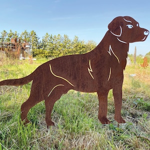 Garden figure dog Labrador 85 x 61 cm garden stake rust weatherproof rust metal rust figure dog figure animal rusty garden decoration flower bed stake