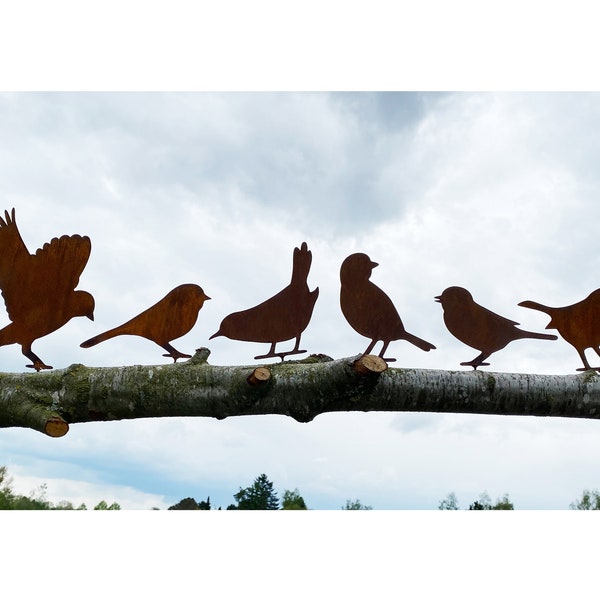 Ensemble de 6 OISEAUX avec vis à visser dans le bois patine rouille oiseau moineau branche clôture de jardin métal rouille figure