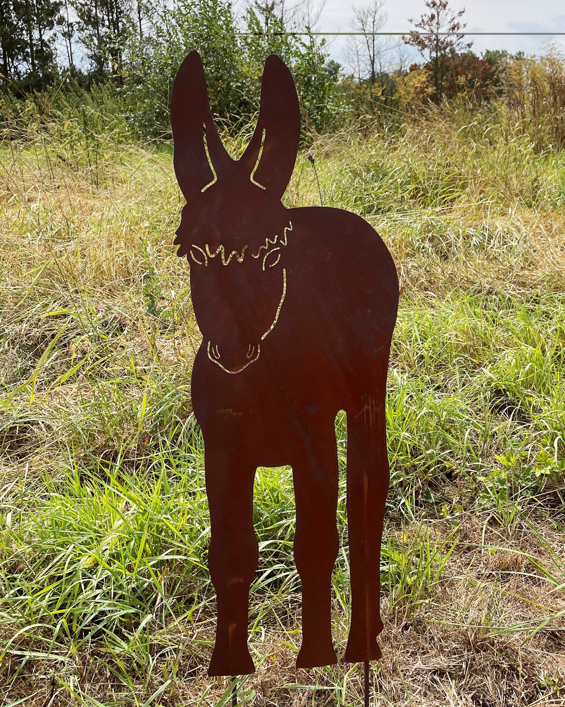 Garden figure donkey from the front 80 x 28 cm for plugging garden stake rust garden decoration weatherproof rust metal rust figure gift rusty decoration
