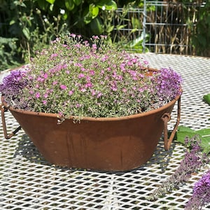 Op de afbeelding: Een roestbruine metalen plantenbak gevuld met levendige roze en groene bloeiende planten. De plantenbak heeft twee handvatten en staat op een witte metalen gaastafel. Paarse bloemen zijn aan de zijkant van de plantenbak geplaatst.