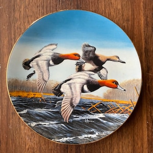 May include: A decorative ceramic plate featuring a painting of three redheads ducks in flight over a blue lake. The plate has a gold rim and a blue background.