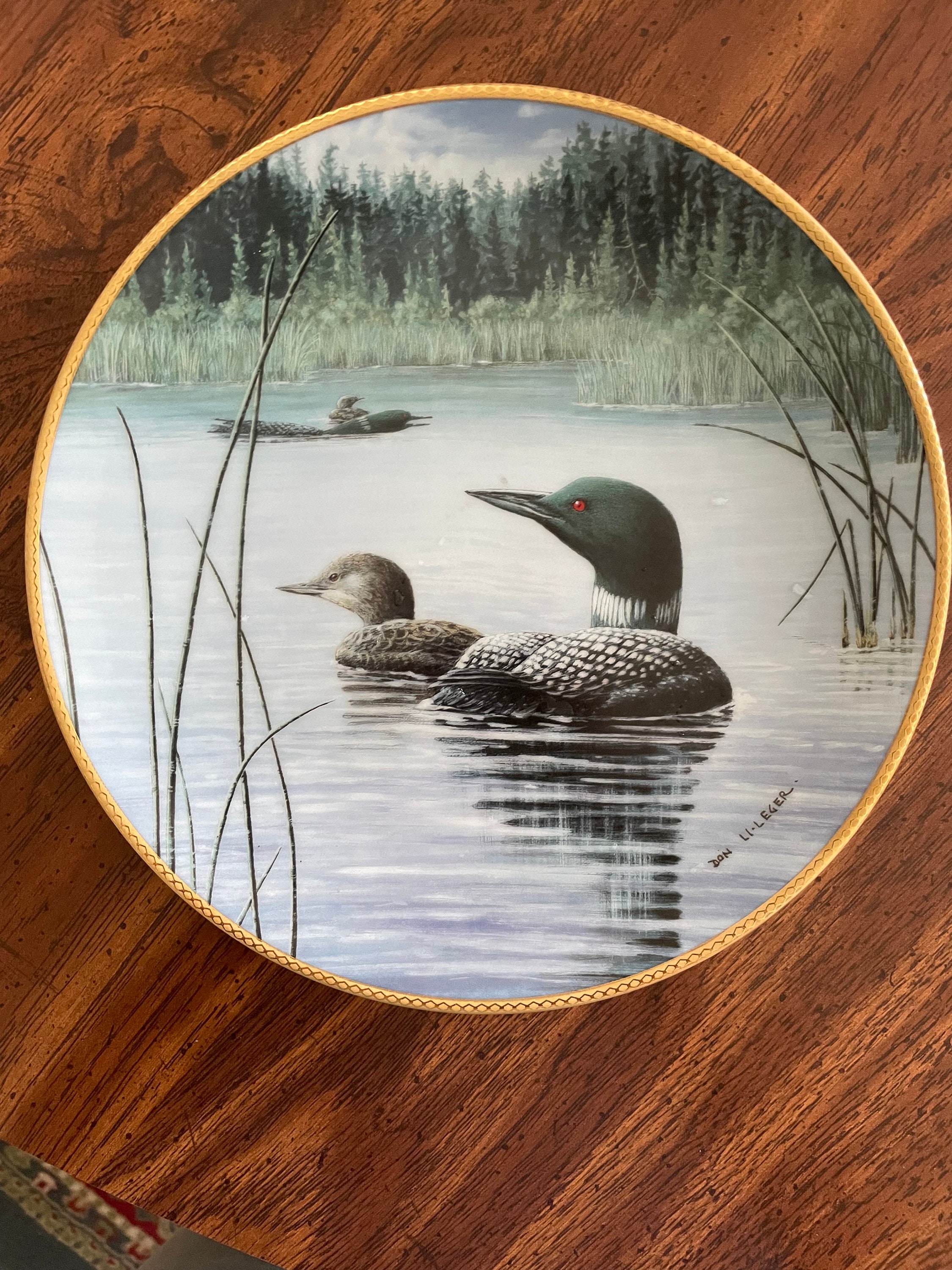 Northern Reflections - Loons Canvas Art by Don Li-Leger