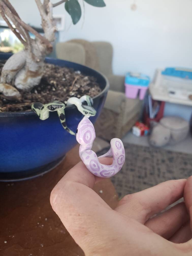 How Complete Mini Snake 3 Mini Baby Snakes, Set of 3 Mini Snakes - Etsy Australia