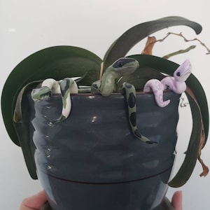 3 Mini baby snakes, set of 3 mini snakes