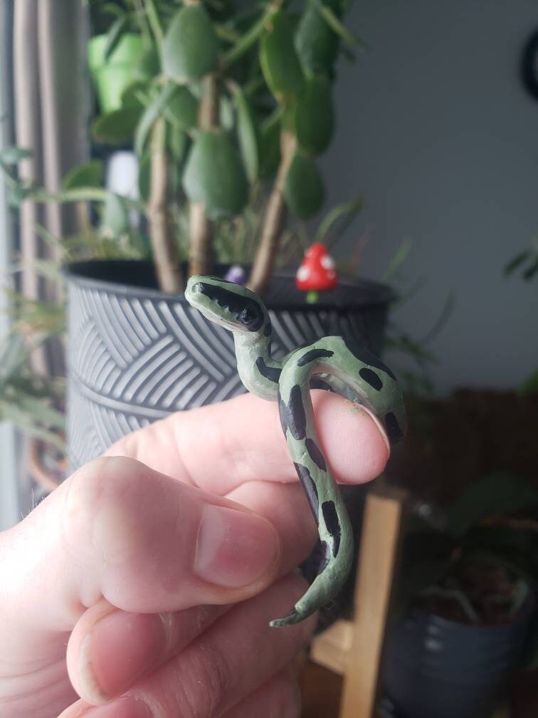 Snake Mini Real 3 Mini Baby Snakes, Set of 3 Mini Snakes - Etsy Australia