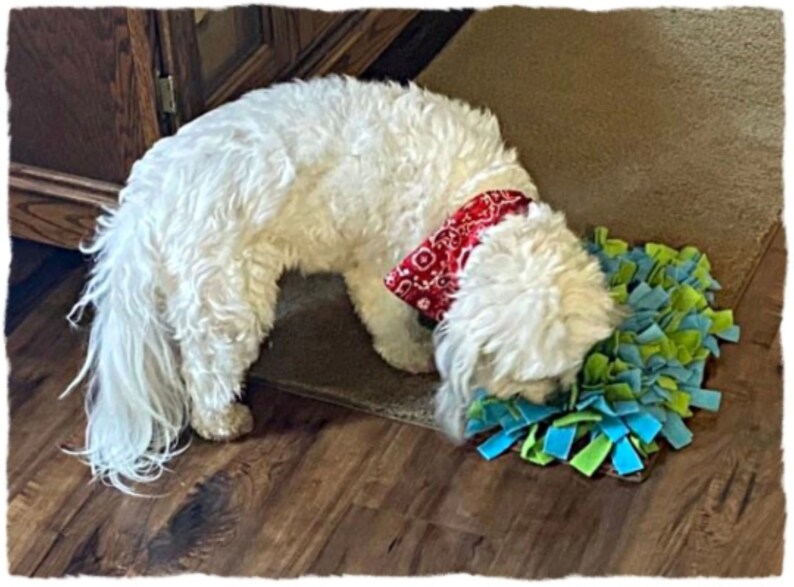 Snuffle Mat | Rooting Mat | Treat Rug | Made Special for Dogs, Cats ...