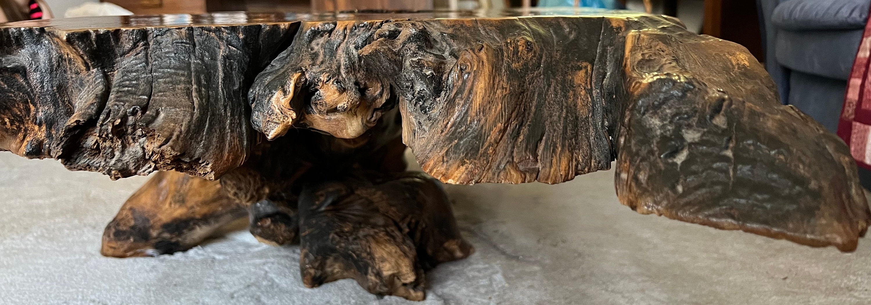Magnificent Vintage Redwood Burl Coffee Table From 1960s. Solid 3 W