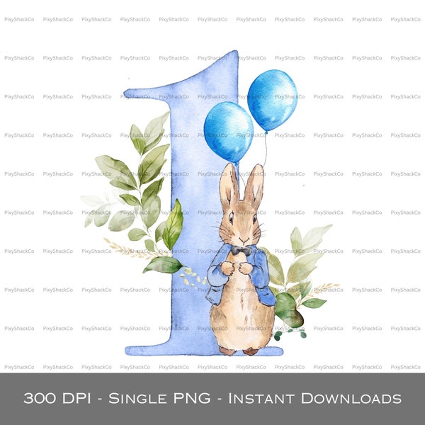 Peter Rabbit 1st Birthday PNG, Peter Rabbit Card Design, First Birthday, Kids Sublimation, Some Bunny is One, Cake Topper, Digital Download