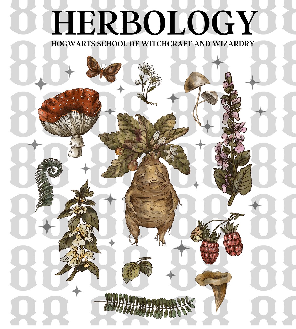 Herbology Plants Png, Mandrake Root Png, Hogwarts Witchcraft and
