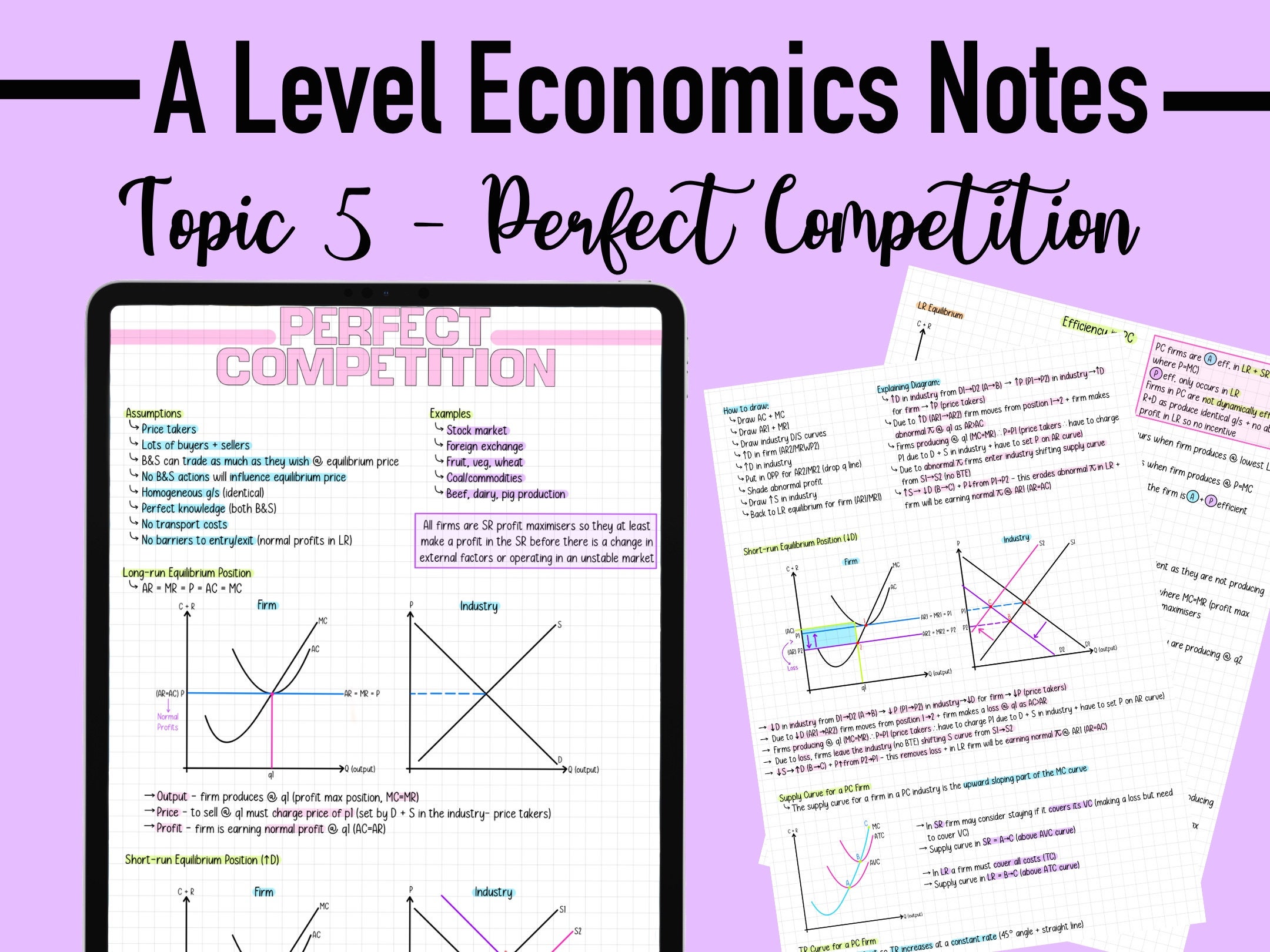 ECONOMICS NOTES A LEVEL - Perfect Competition - Etsy