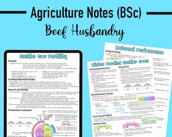 AGRICULTURE NOTES - Beef Husbandry