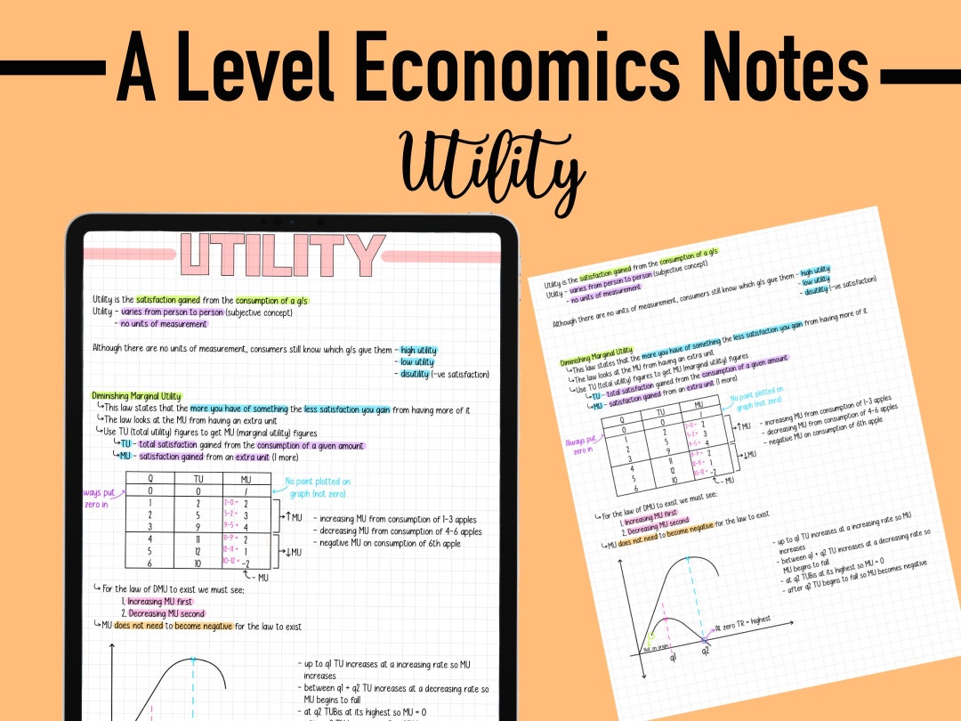 ECONOMICS NOTES A LEVEL - Utility - Etsy UK