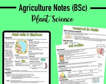 Puede incluir: Notas escritas a mano sobre un fondo de papel cuadriculado verde sobre células vegetales y reinos, transporte en plantas y perfiles de suelo. Las notas incluyen diagramas e ilustraciones de células vegetales, células de pelos radiculares y horizontes del suelo.