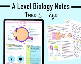BIOLOGY NOTES A LEVEL - Eye