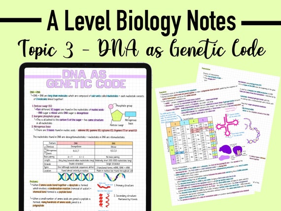 BIOLOGY NOTES A LEVEL Dna as Genetic Code - Etsy