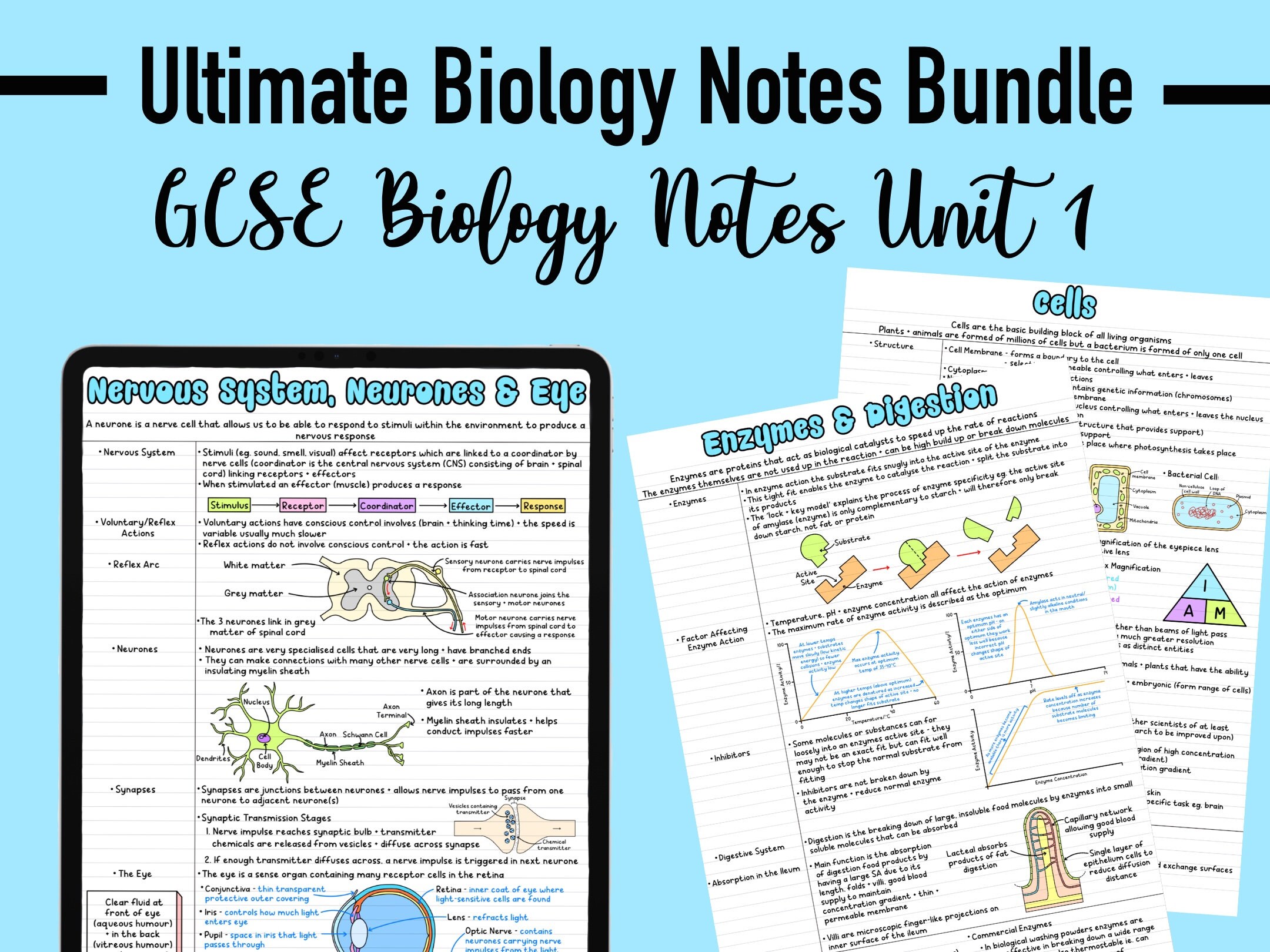 GCSE BIOLOGY NOTES - Unit 1 - Etsy