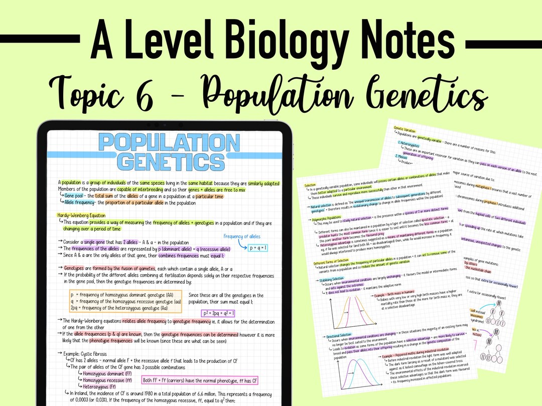 BIOLOGY NOTES A LEVEL - Population Genetics - Etsy