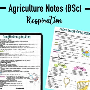 AGRICULTURE NOTES - Respiration