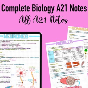 May include: A set of colorful biology notes with handwritten text and illustrations. The notes cover topics like neurons, muscles, and communities. The notes are organized in a grid format with headings and subheadings.
