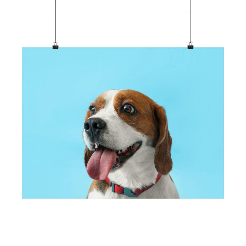 Cute Beagle With Blue Background Poster Print, Beagle Lover Gift, Dog ...