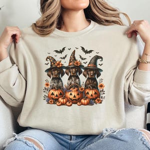 May include: Beige sweatshirt featuring a Halloween design. The graphic shows three dogs wearing witch hats, sitting on carved pumpkins. Bats and flowers surround the dogs and pumpkins. The design is in shades of brown, orange, and black.