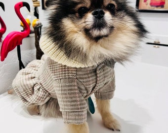 Small Dog Fleece Hooded Dress/Winter Warm Knitted Sweater