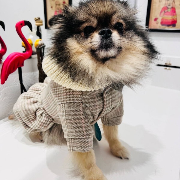 Small Dog Fleece Hooded Dress/Winter Warm Knitted Sweater