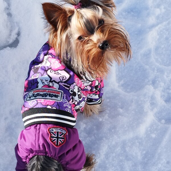 Wool winter coat with hood for small dogs: Keep your furry friend warm and stylish on cold winter nights! 3 colors.