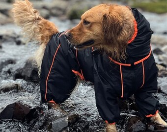 Waterproof raincoat for medium and large dogs: keeps your dog dry and safe in any weather