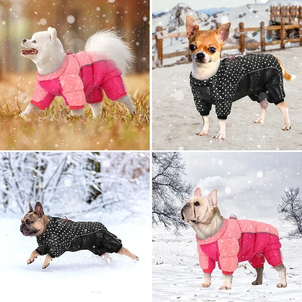 Manteau imperméable et chaud pour chien pour temps froid | Gardez votre ami à fourrure au sec et au chaud en hiver ! 25 % de réduction !