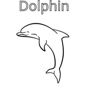 6 Printable Sea Creature Coloring Pages - Etsy