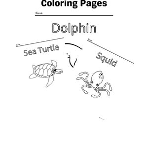 6 Printable Sea Creature Coloring Pages