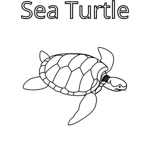 6 Printable Sea Creature Coloring Pages - Etsy