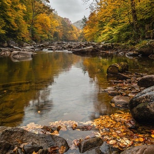 Mountain River, autumn colors, fall foliage, mountain stream, Williams River, West Virginia, river scene, river canvas, river print